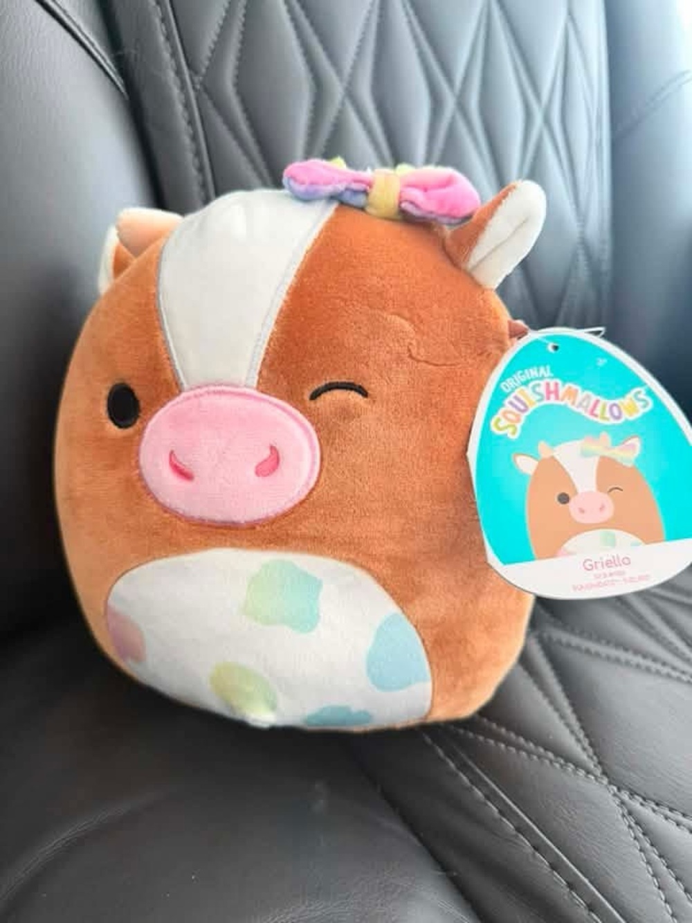 BNWT Squishmallow